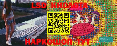 дмт Будённовск