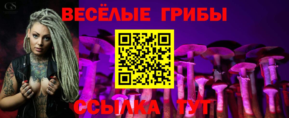 Псилоцибиновые грибы ЛСД Бахчисарай