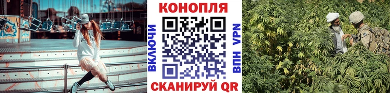 Бошки Шишки ГИДРОПОН купить наркотик Бахчисарай